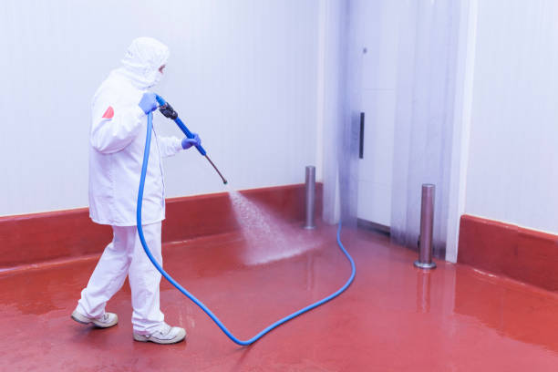 Best Dumpster Area Cleaning  in Hawaiian Ocean View, HI